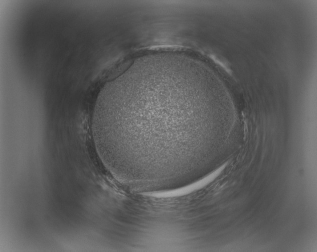 X0000071341351200606261305