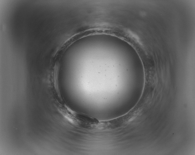 X0000071341352200606261305