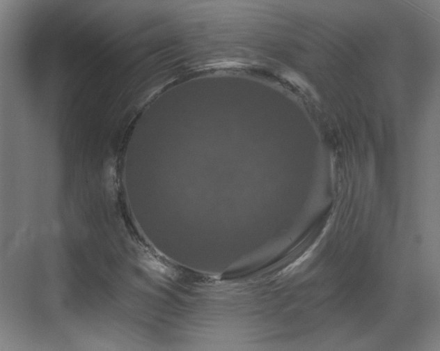 X0000071341353200606261305