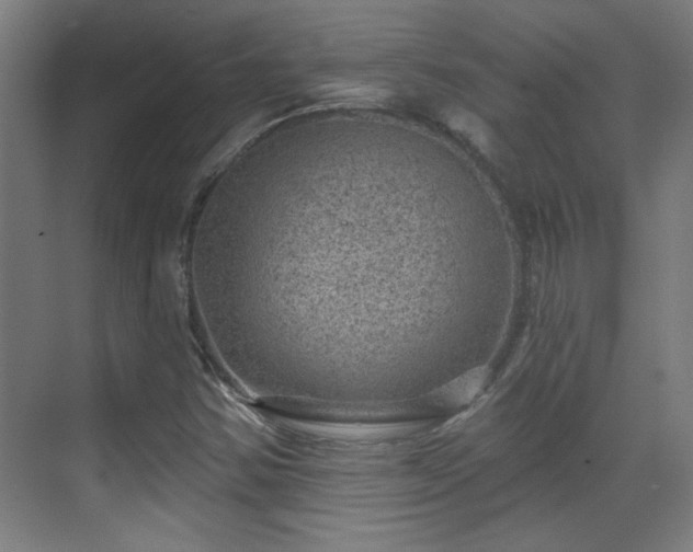 X0000071341354200606261305