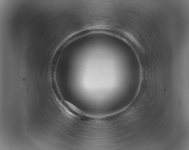 X0000071341356200606261305