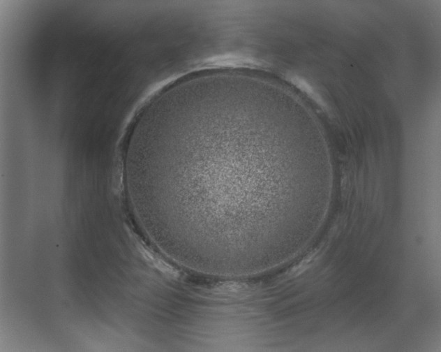 X0000071341358200606261305