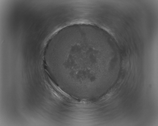 X0000071341359200606261305