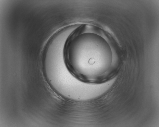 X0000071341360200606261305