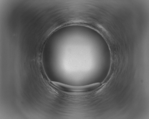 X0000071341361200606261305