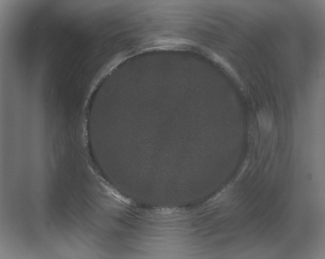 X0000071341362200606261305