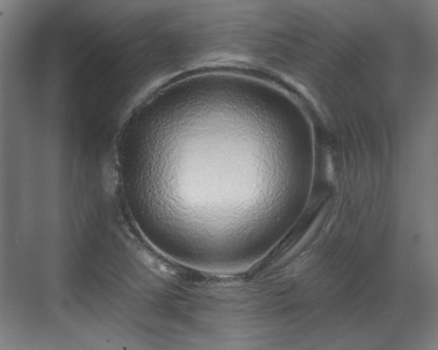 X0000071341363200606261305