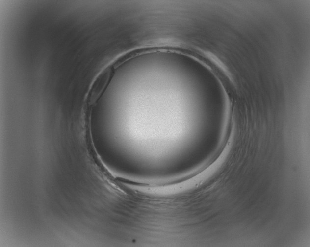 X0000071341364200606261305