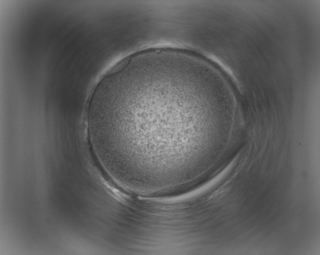 X0000071341367200606261304