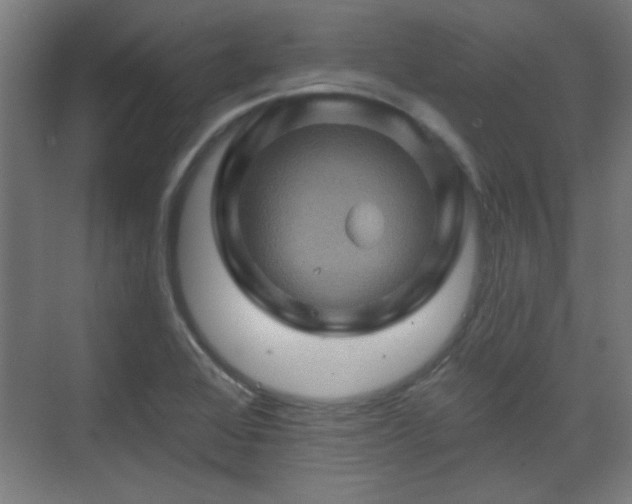 X0000071341368200606261304