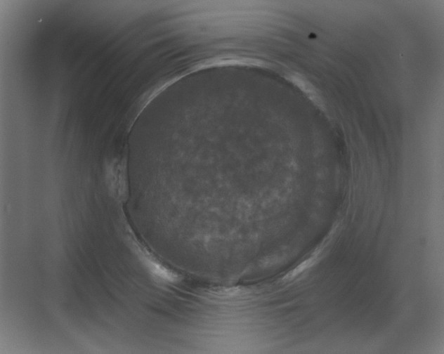 X0000071341369200606261304