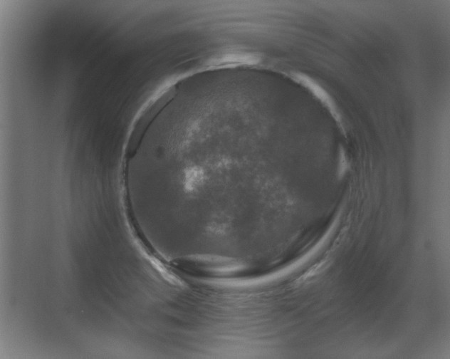 X0000071341373200606261304