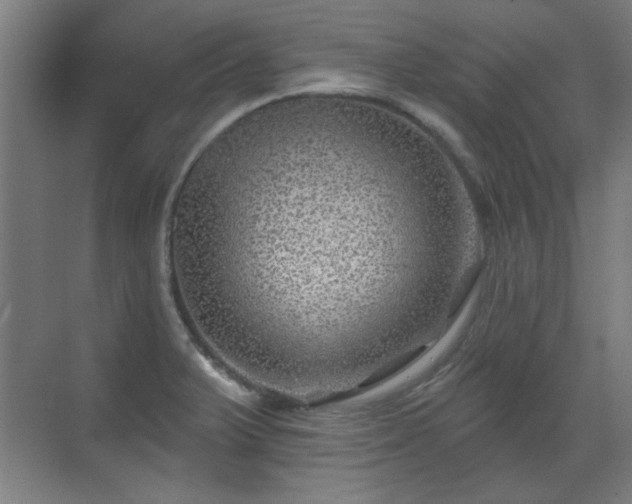 X0000071341375200606261304