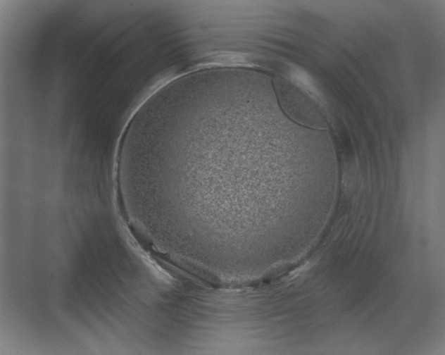 X0000071341378200606261304