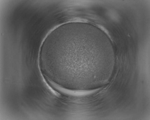 X0000071341379200606261304