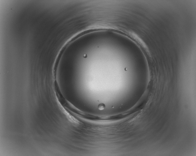 X0000071341380200606261304