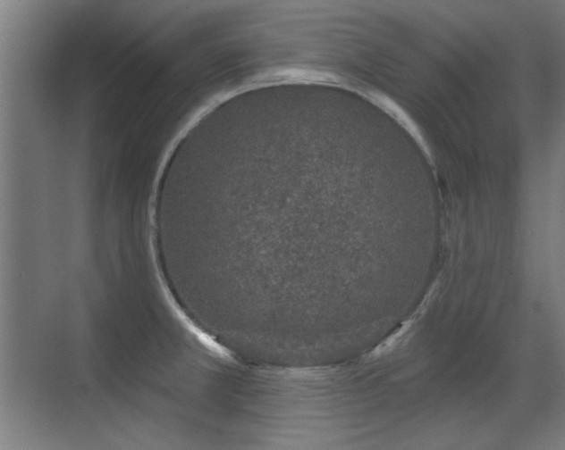 X0000071341381200606261304