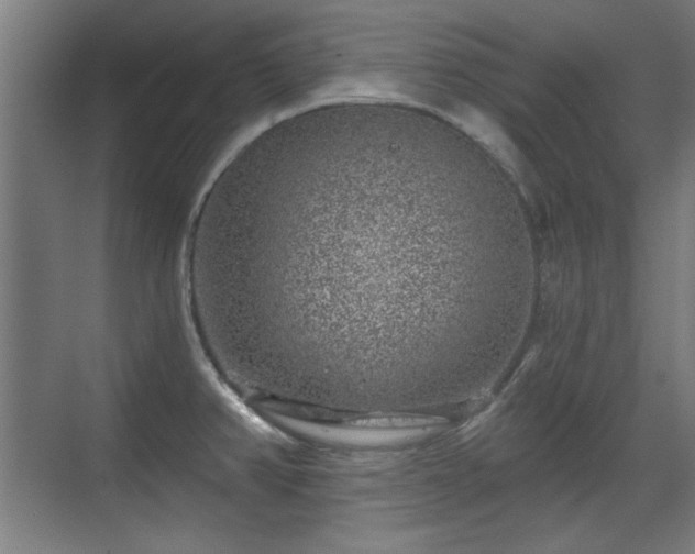 X0000071341382200606261304