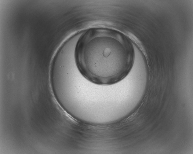 X0000071341384200606261304