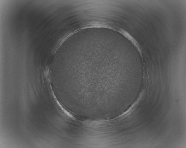 X0000071341385200606261304