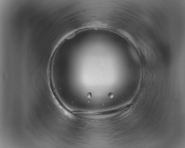 X0000071341387200606261304