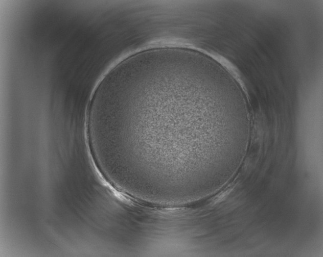 X0000071341390200606261304