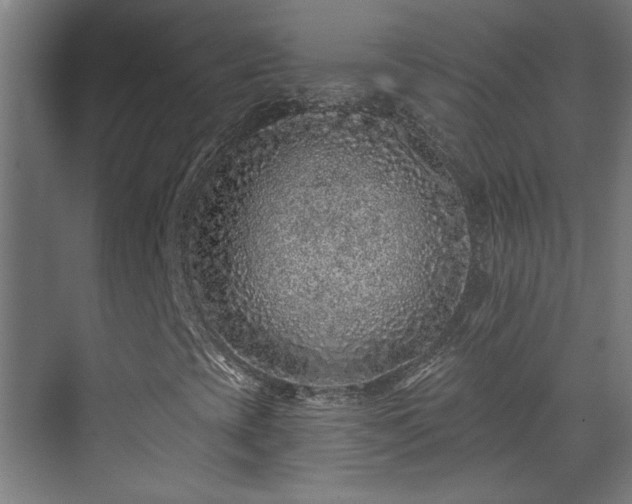 X0000071341393200606261303