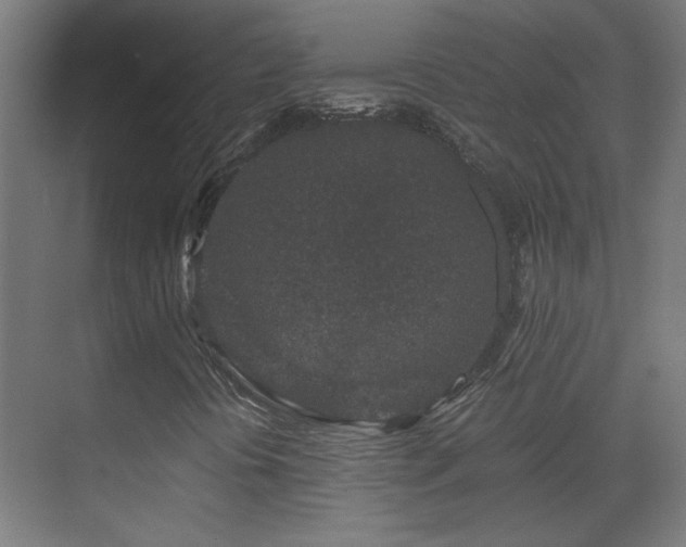 X0000071341394200606261303