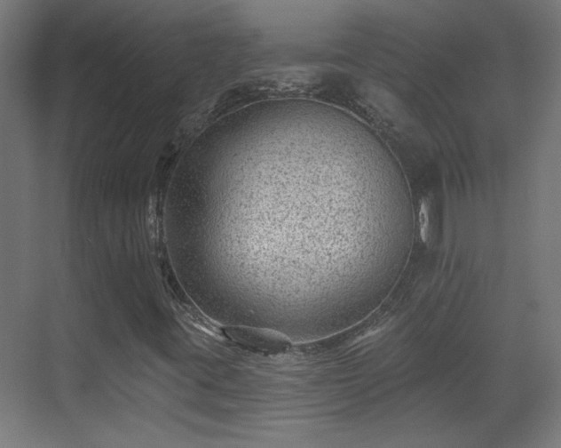 X0000071341395200606261303