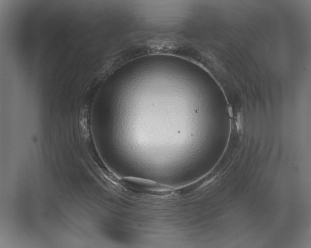 X0000071341396200606261303