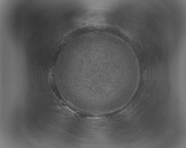 X0000071341397200606261303