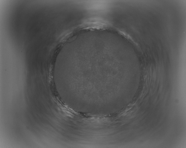 X0000071341399200606261303