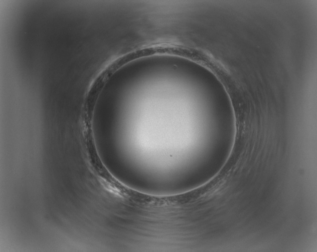 X0000071341400200606261303