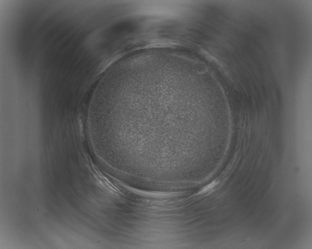 X0000071341401200606261303