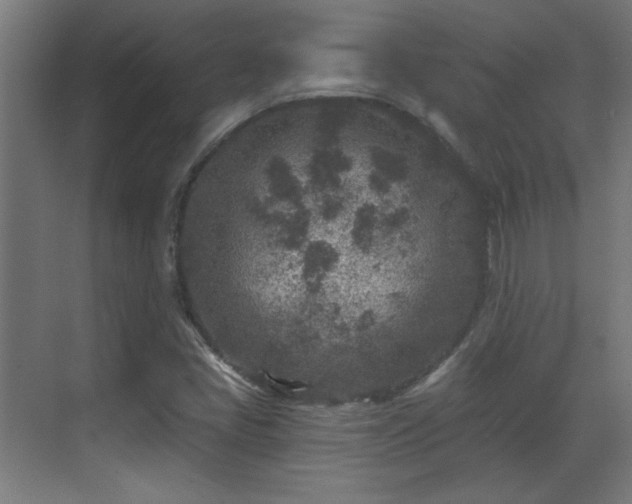 X0000071341405200606261303