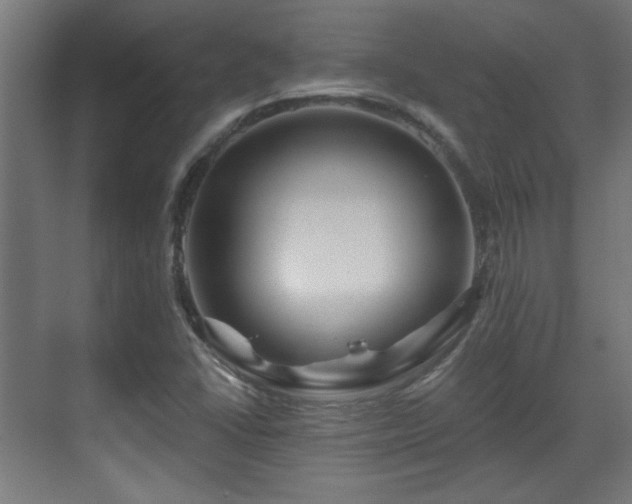 X0000071341406200606261303