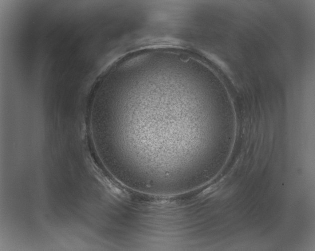 X0000071341407200606261303