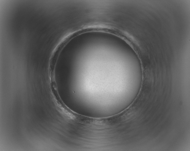 X0000071341408200606261304