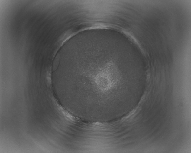 X0000071341409200606261304