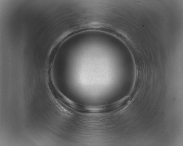 X0000071341410200606261304