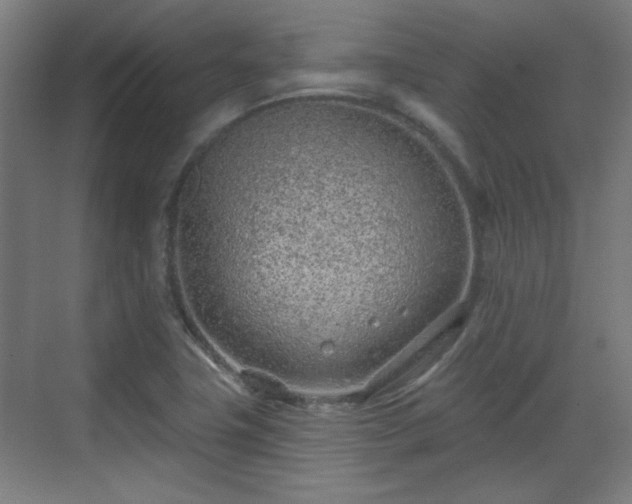 X0000071341411200606261304