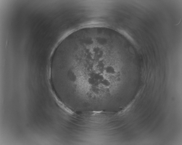 X0000071341413200606261304