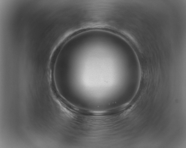 X0000071341414200606261304