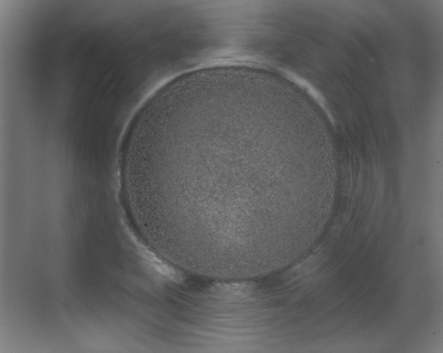 X0000071341415200606261304