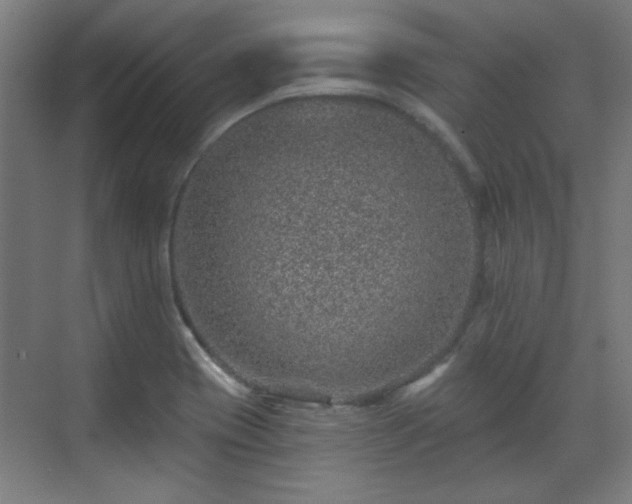 X0000071341417200606261304