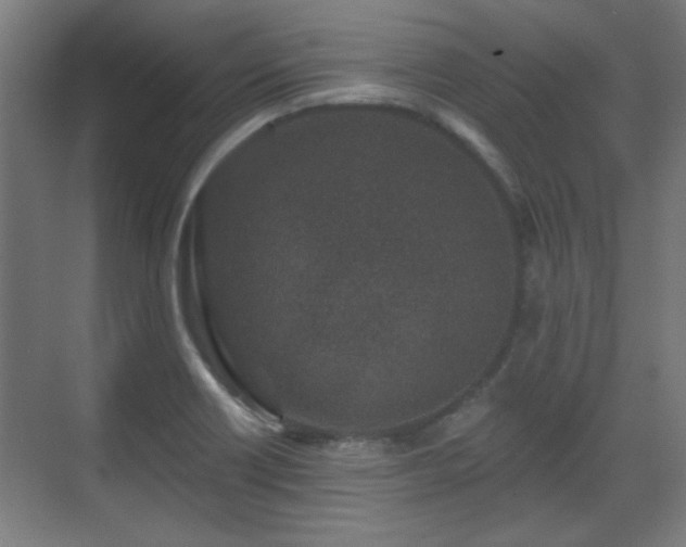 X0000071341418200606261304