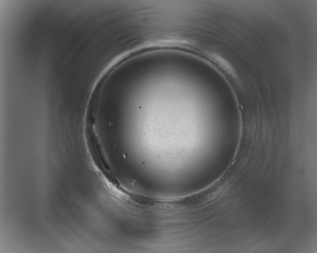 X0000071341420200606261304