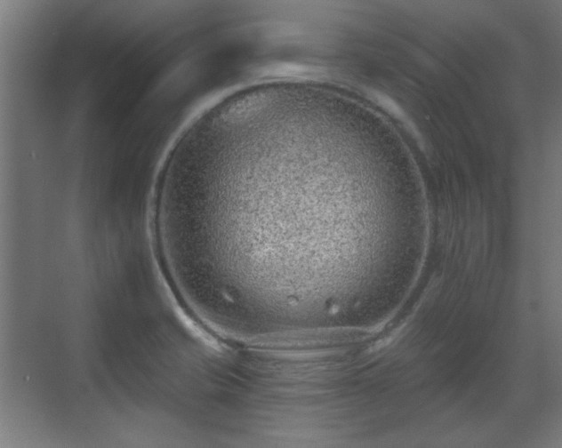 X0000071341421200606261304