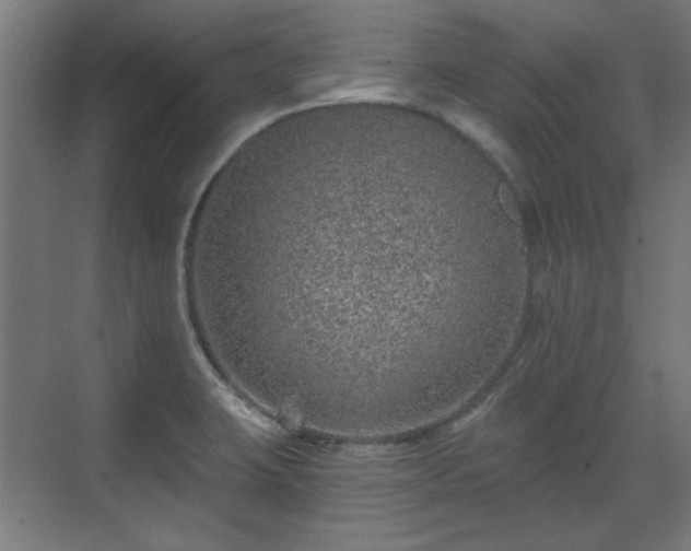 X0000071341423200606261304