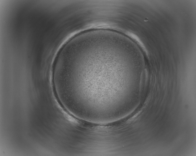 X0000071341424200606261304